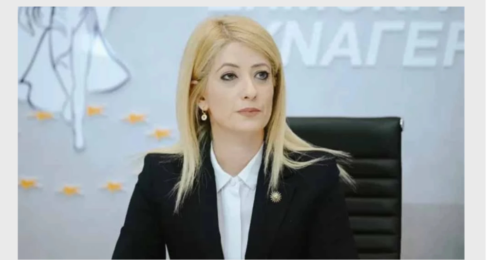 Dimitriu: Kıbrıs’a ilişkin önerimizin AB ortak metninde yer alması memnuniyet verici