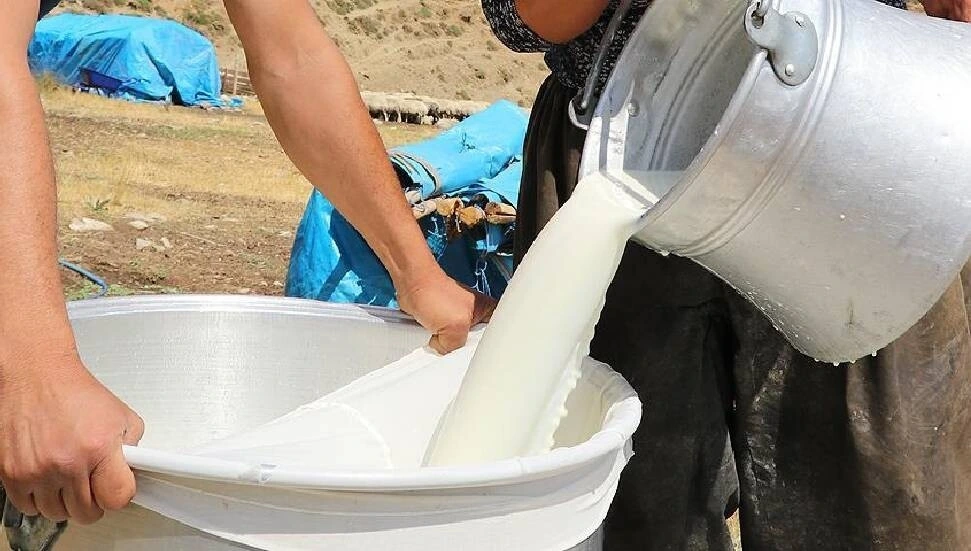 Süt bedelleri ödendi