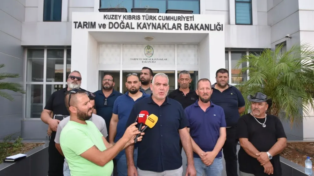 Hayvan üreticilerinden hükümete: Artık planlı üretim yapmak istiyoruz!